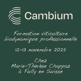 Formation viticulture biodynamique professionnelle